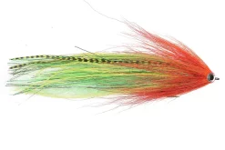 Vision Pike Parrot