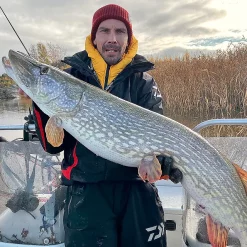 Daiwa Prorex Lazy Shad 16cm -Tilbud Sluker Butikk daiwa lazy shad miljo.640