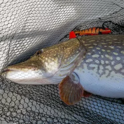 Daiwa Prorex Lazy Shad 16cm -Tilbud Sluker Butikk daiwa lazy shad miljo 1.640