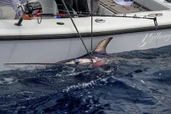 Daiwa Tanacom 1200 -Tilbud Sluker Butikk daiwa tanacom 1200 12.640