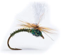 Guideline Klink Dk. Olive Biot #14