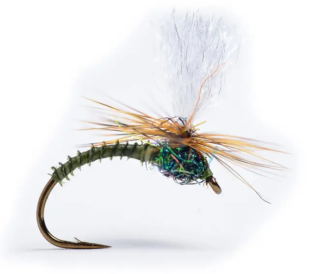 Guideline Klink Dk. Olive Biot #14 3 Guideline Klink Dk. Olive Biot #14