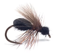 Guideline Rufa Flying Ant #12